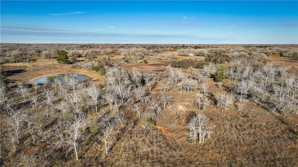 9912 FM 1681 Nixon, TX 78140