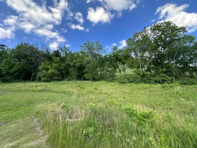 0 Novlan Avenue Rushford, MN 55971
