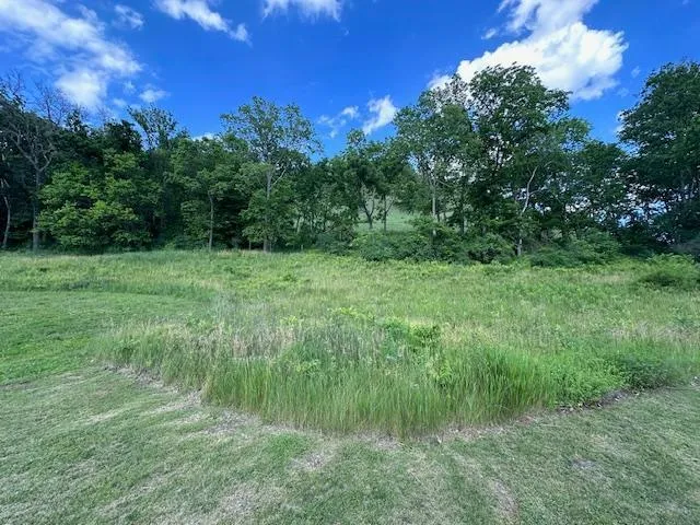0 Novlan Avenue Rushford, MN 55971