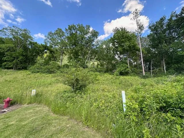 0 Novlan Avenue Rushford, MN 55971