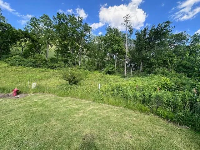 0 Novlan Avenue Rushford, MN 55971