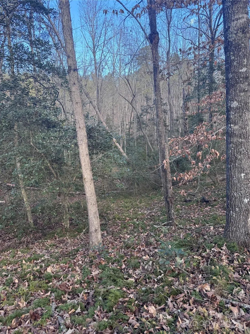 0 Hearthstone Drive #70 Union Mills, NC 28167