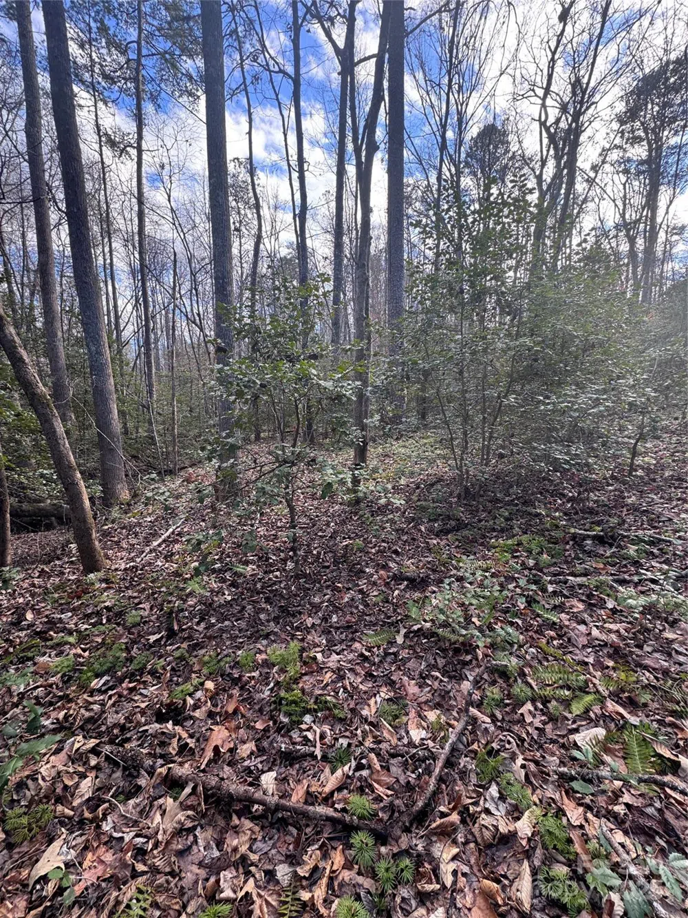 0 Hearthstone Drive #70 Union Mills, NC 28167