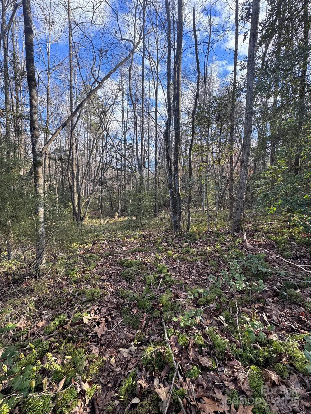 0 Hearthstone Drive #70 Union Mills, NC 28167