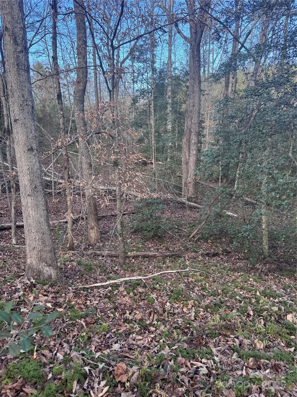 0 Hearthstone Drive #70 Union Mills, NC 28167