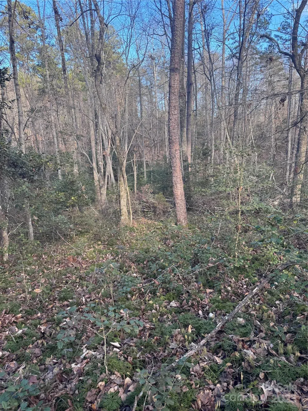 0 Hearthstone Drive #70 Union Mills, NC 28167