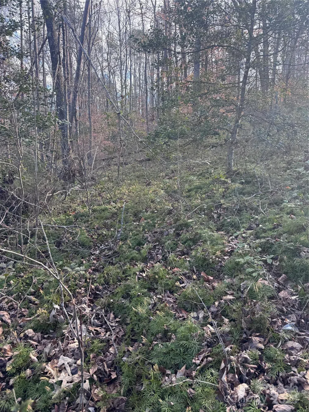 0 Hearthstone Drive #70 Union Mills, NC 28167