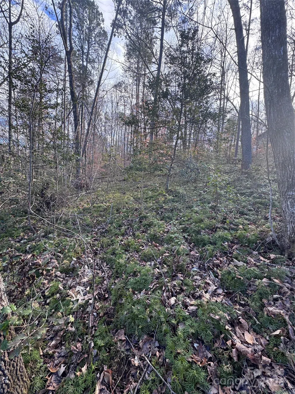 0 Hearthstone Drive #70 Union Mills, NC 28167