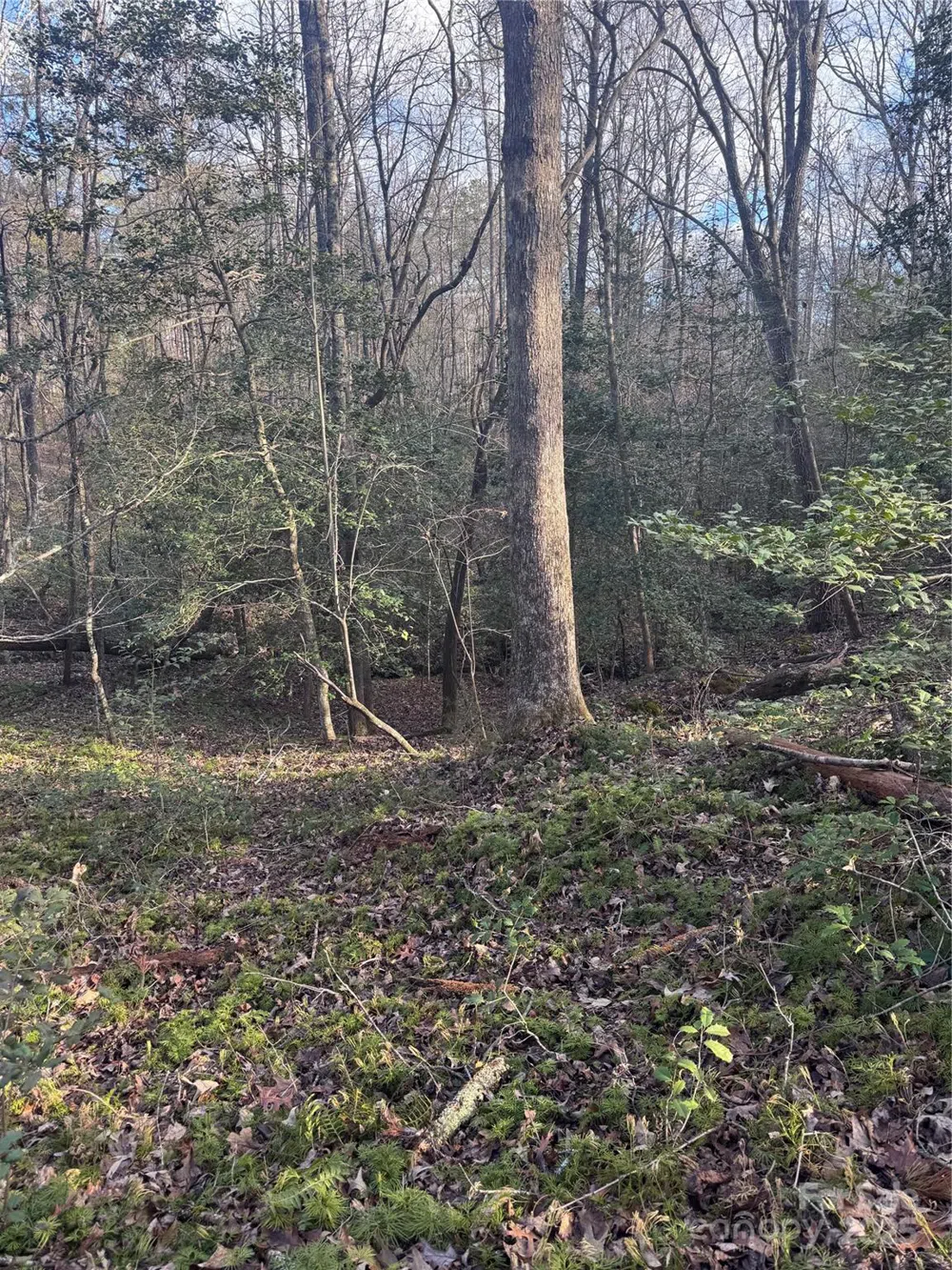 0 Hearthstone Drive #70 Union Mills, NC 28167