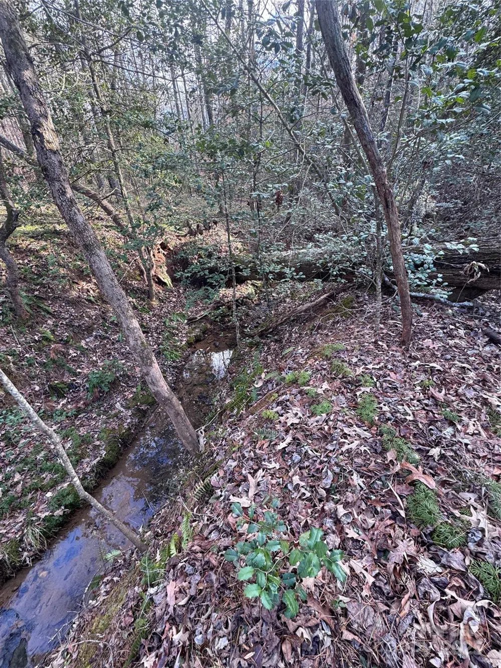 0 Hearthstone Drive #70 Union Mills, NC 28167