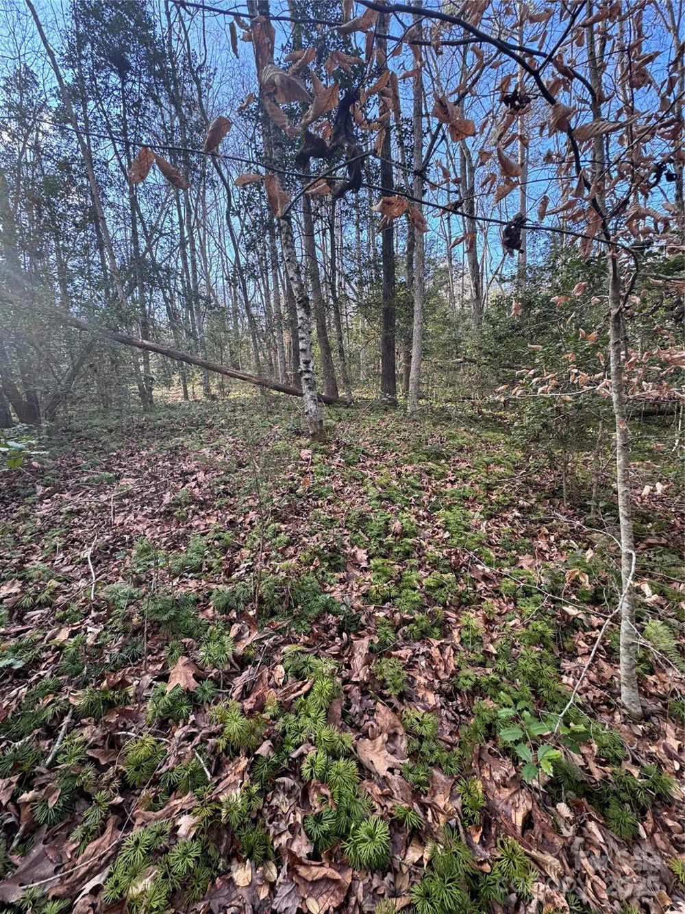 0 Hearthstone Drive #70 Union Mills, NC 28167
