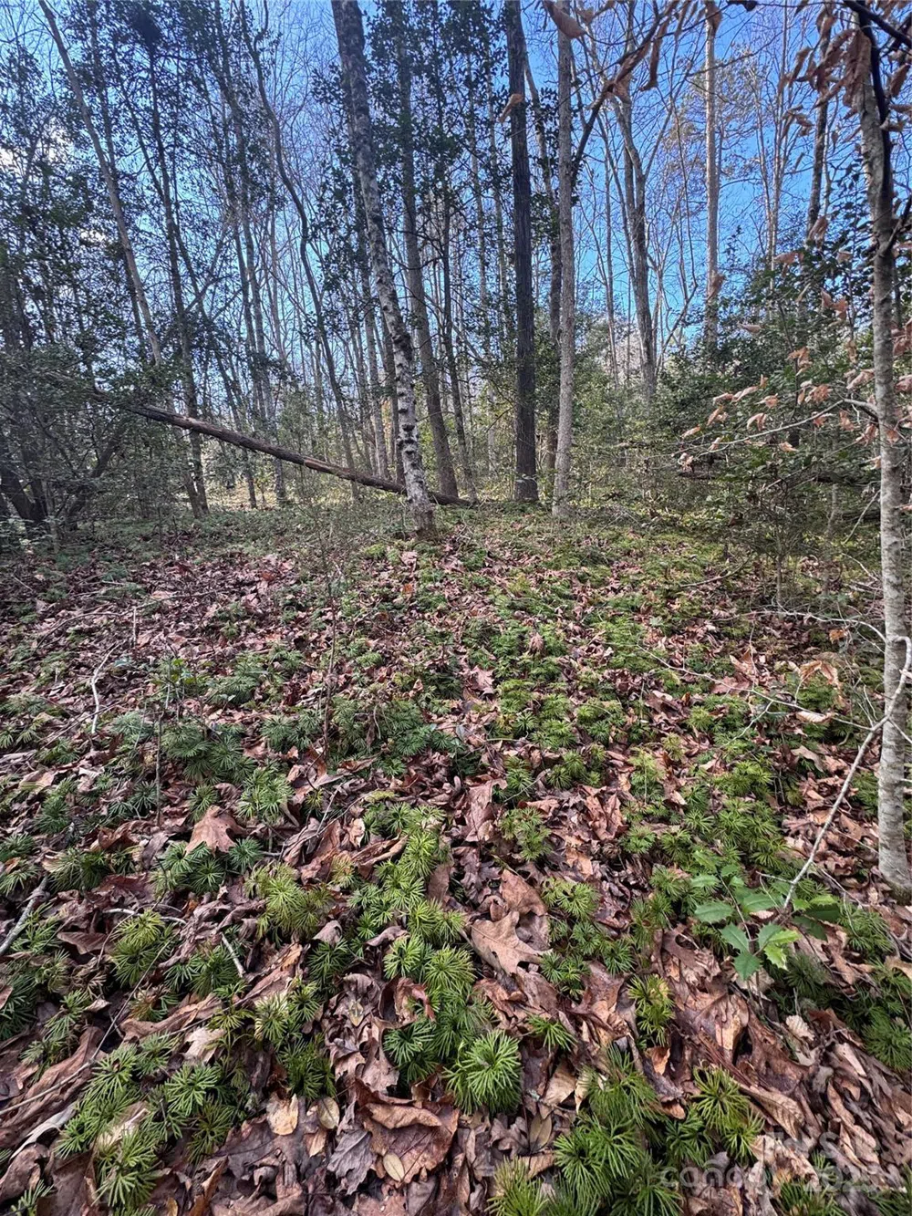 0 Hearthstone Drive #70 Union Mills, NC 28167