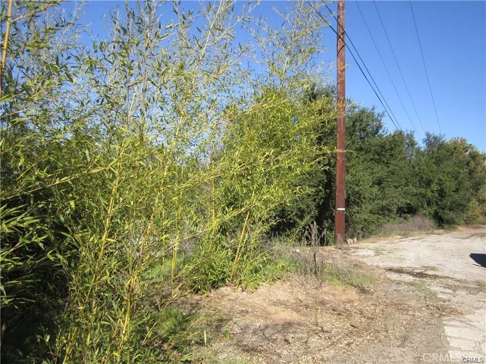 Ventura Avenue Ojai, CA 93022