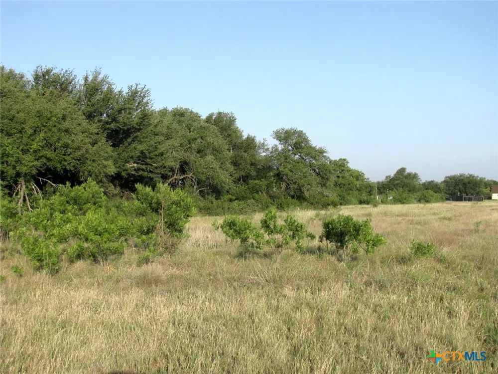 2171 County Road 419 Evant, TX 76525