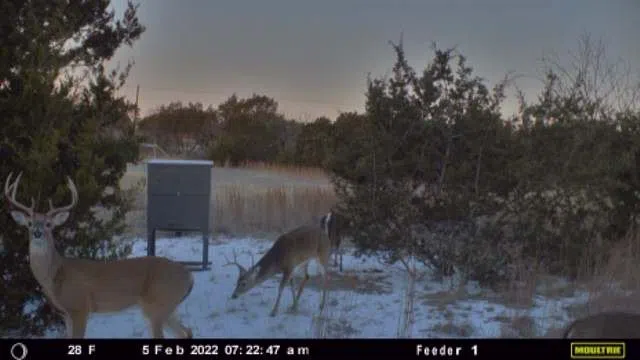 E FM 581 Lometa, TX 76853