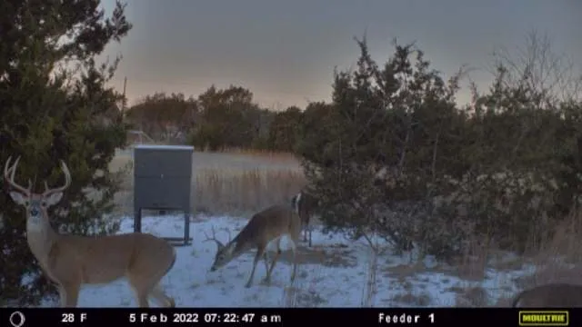 E FM 581 Lometa, TX 76853