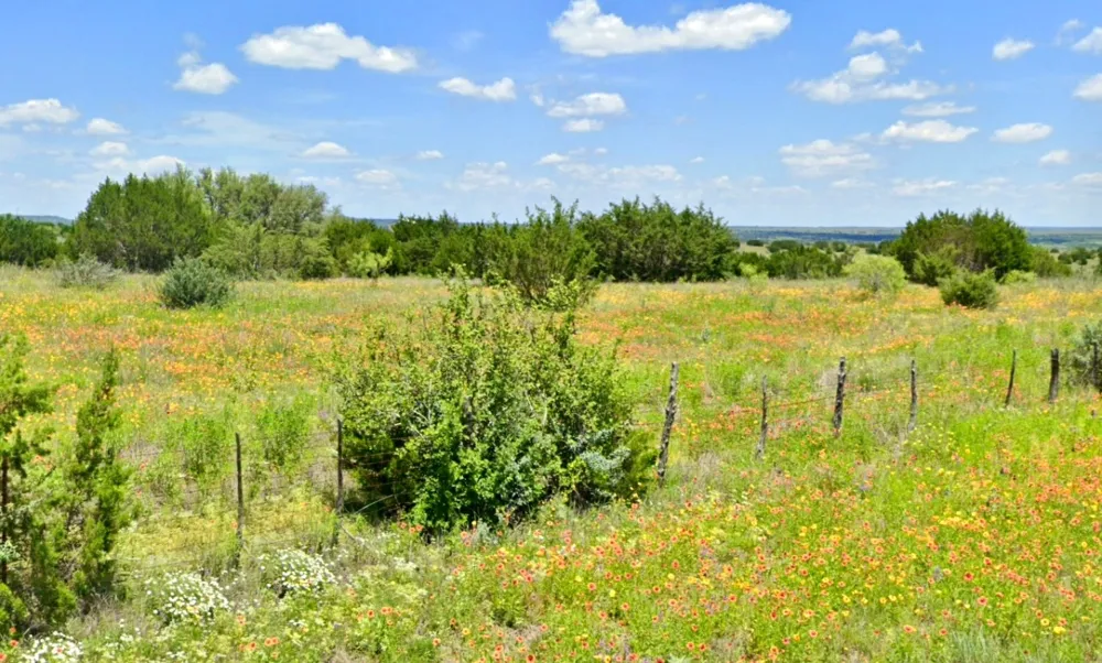 E FM 581 Lometa, TX 76853