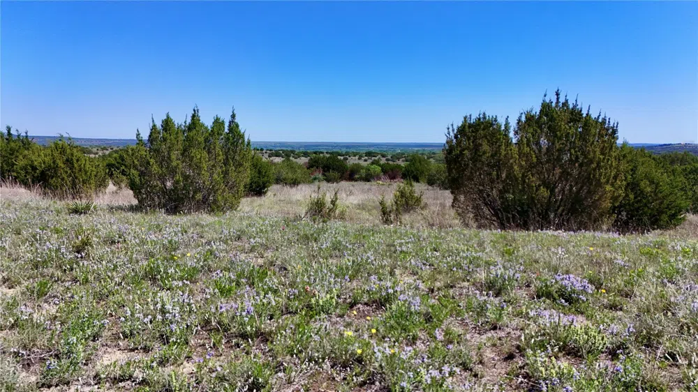 E FM 581 Lometa, TX 76853