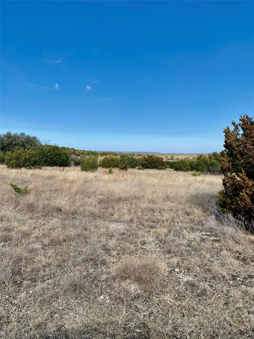 E FM 581 Lometa, TX 76853