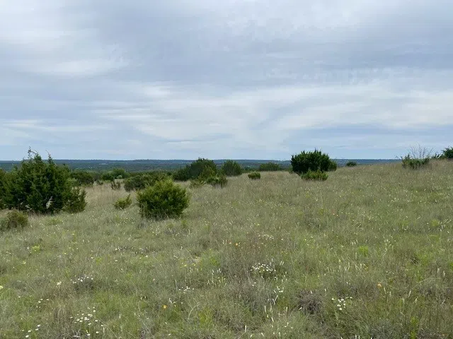 E FM 581 Lometa, TX 76853