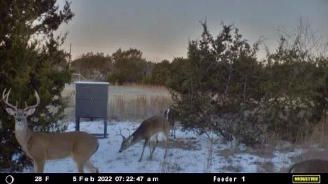 E FM 581 Lometa, TX 76853