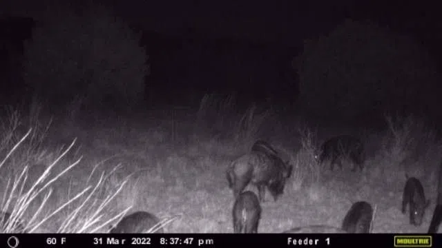 E FM 581 Lometa, TX 76853