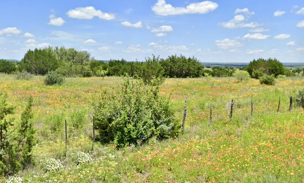 E FM 581 Lometa, TX 76853
