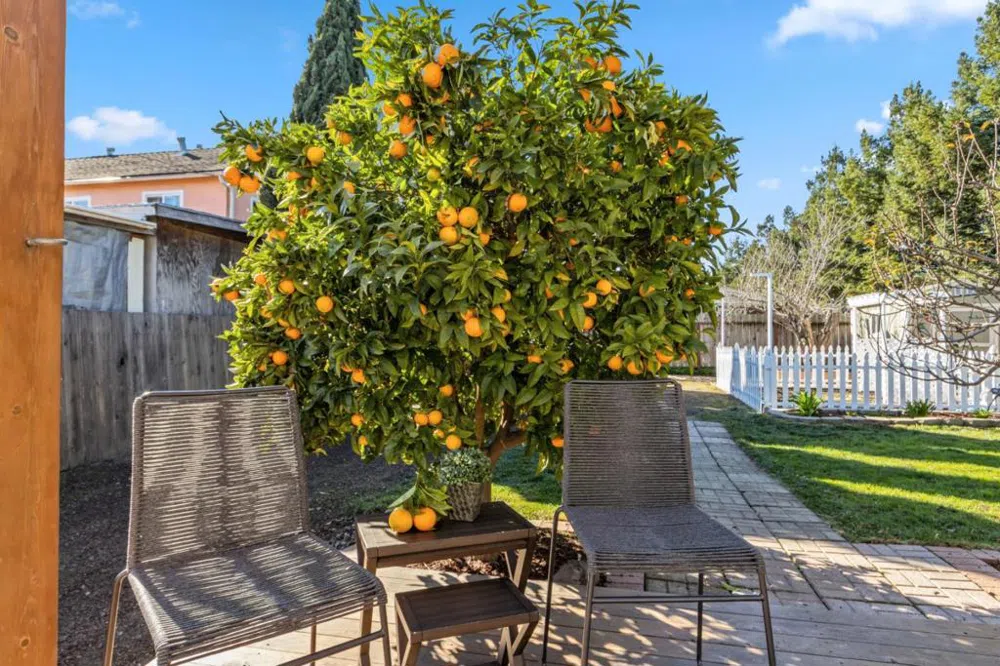33 Stewart Avenue Freedom, CA 95019