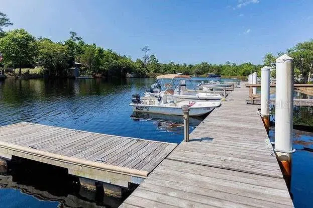 204 VIRGINIA AVENUE Steinhatchee, FL 32359