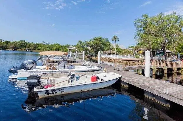 204 VIRGINIA AVENUE Steinhatchee, FL 32359