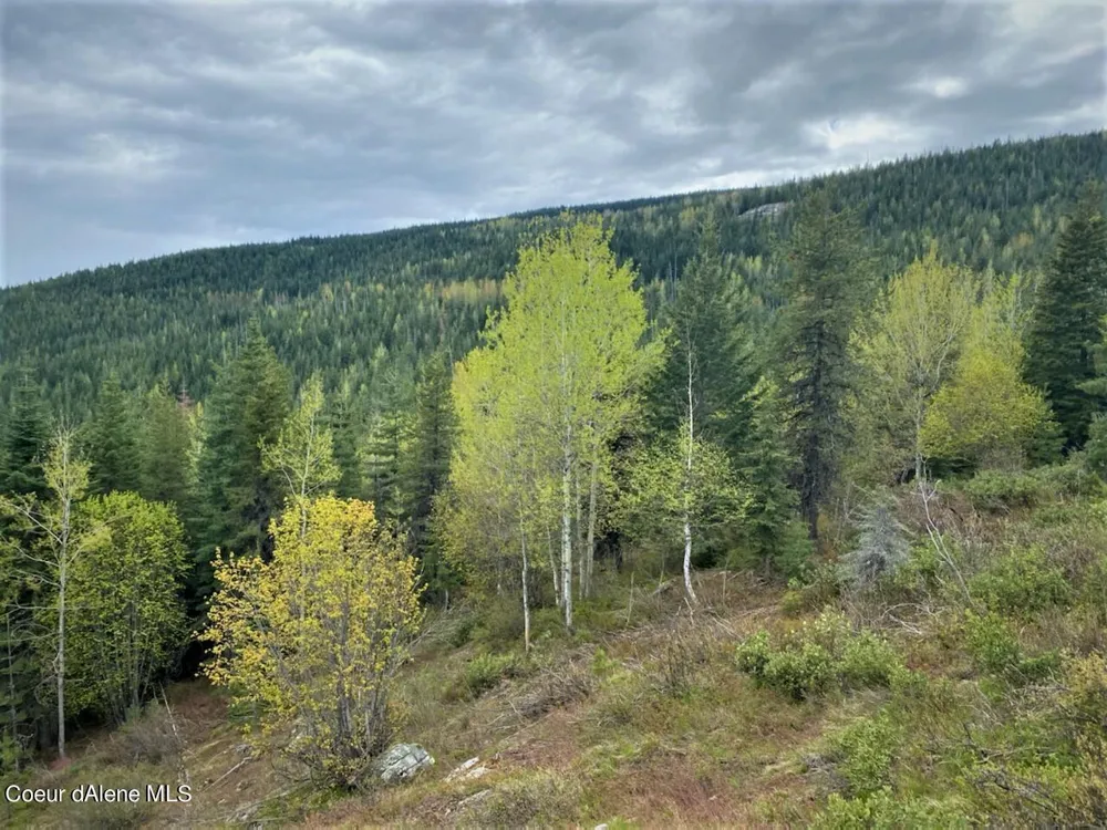 NKA 160 acres Jeru Creek Rd 293 Sandpoint, ID 83864