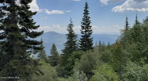 NKA 160 acres Jeru Creek Rd 293