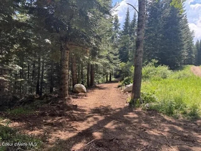 NKA 160 acres Jeru Creek Rd 293 Sandpoint, ID 83864