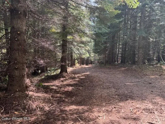 NKA 160 acres Jeru Creek Rd 293 Sandpoint, ID 83864