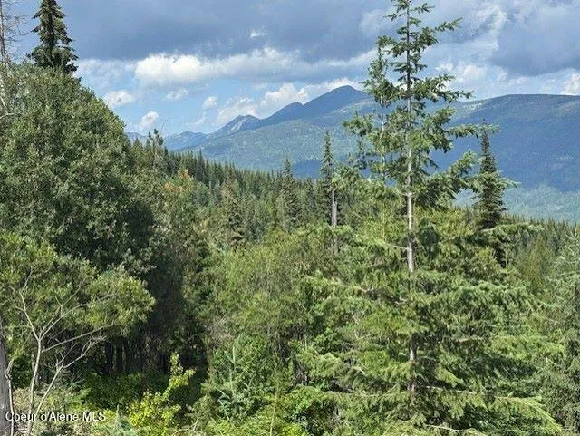 NKA 160 acres Jeru Creek Rd 293 Sandpoint, ID 83864