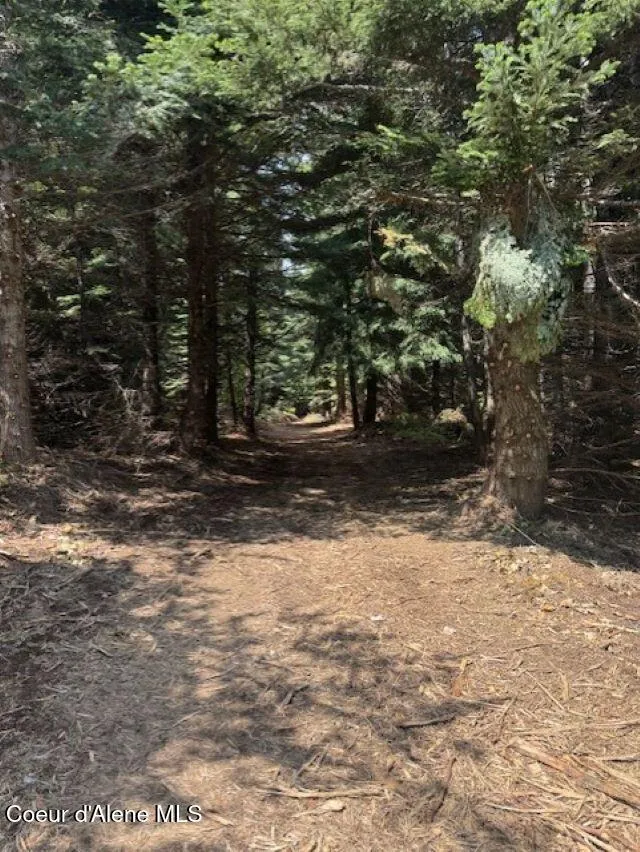 NKA 160 acres Jeru Creek Rd 293 Sandpoint, ID 83864