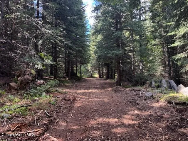 NKA 160 acres Jeru Creek Rd 293 Sandpoint, ID 83864
