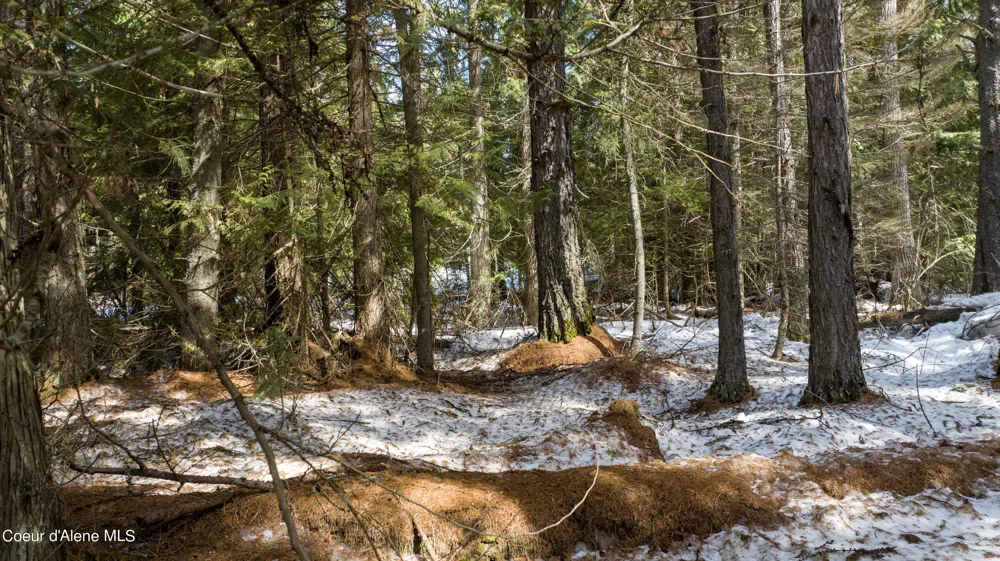 Blk1 Lot3 Highway 57 Priest Lake, ID 83856