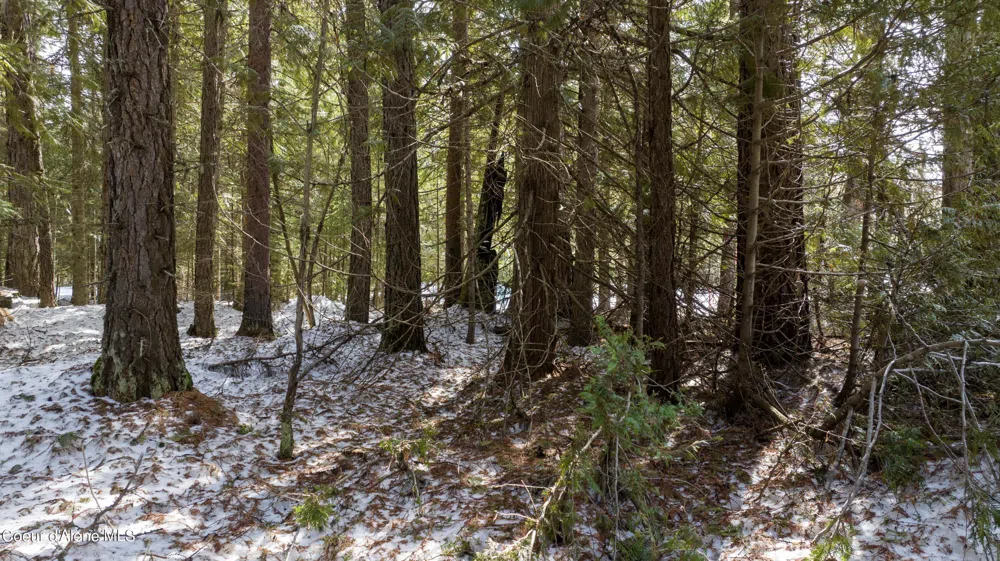 Blk1 Lot3 Highway 57 Priest Lake, ID 83856
