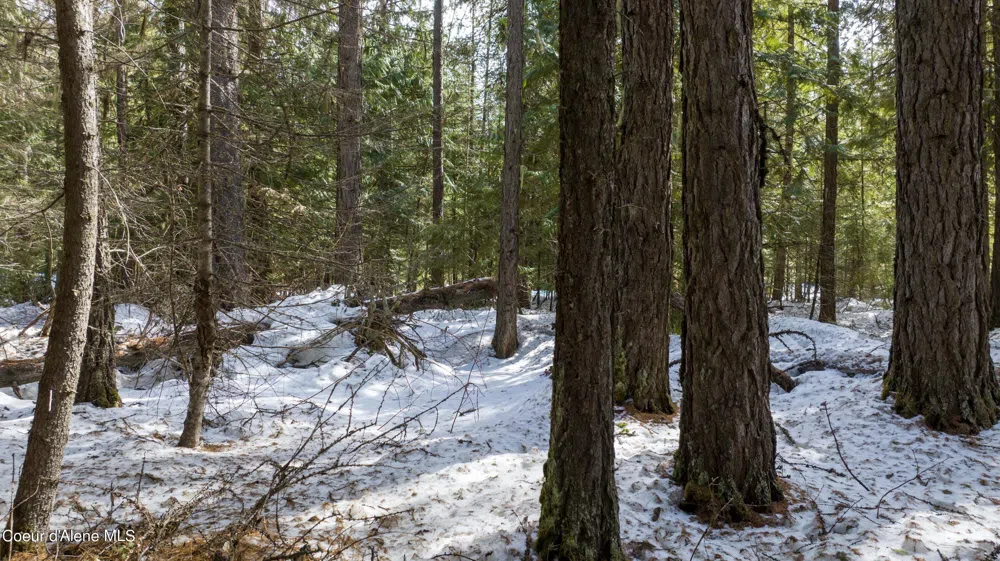 Blk1 Lot3 Highway 57 Priest Lake, ID 83856