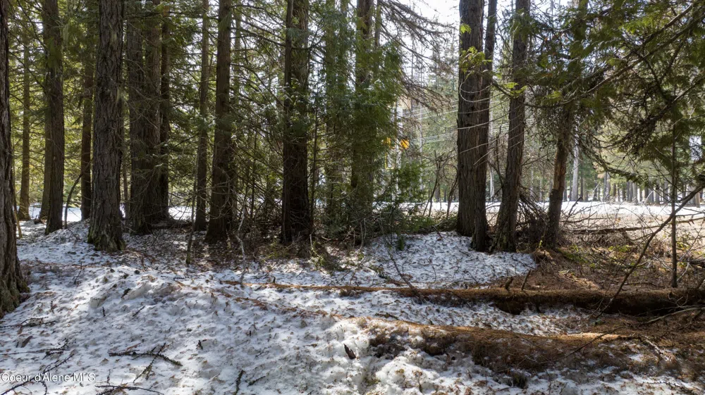 Blk1 Lot3 Highway 57 Priest Lake, ID 83856