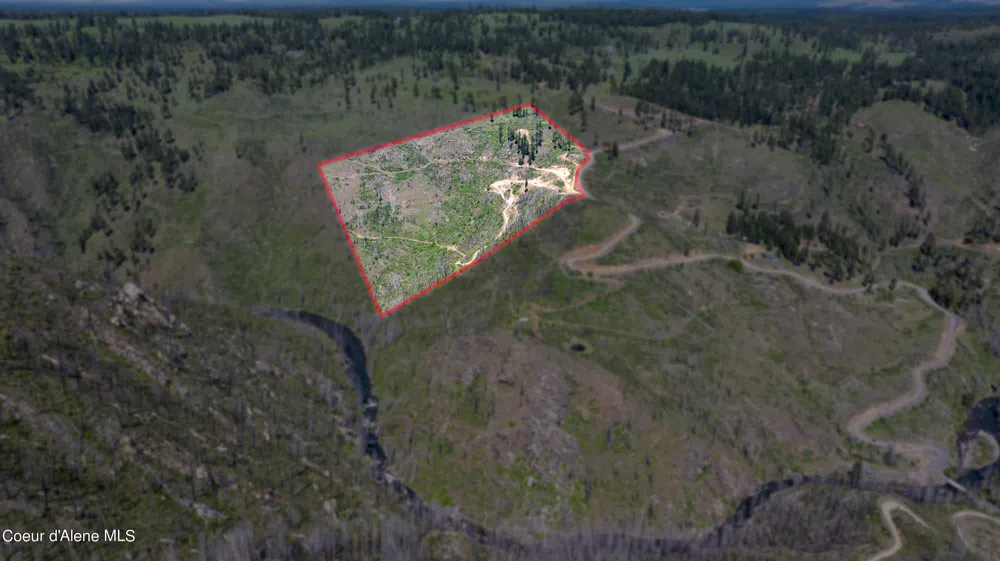 2912 Lolo Creek Road Weippe, ID 83553
