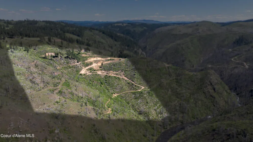 2912 Lolo Creek Road Weippe, ID 83553