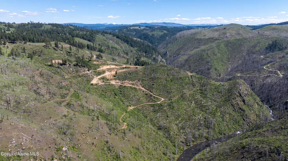 2912 Lolo Creek Road Weippe, ID 83553
