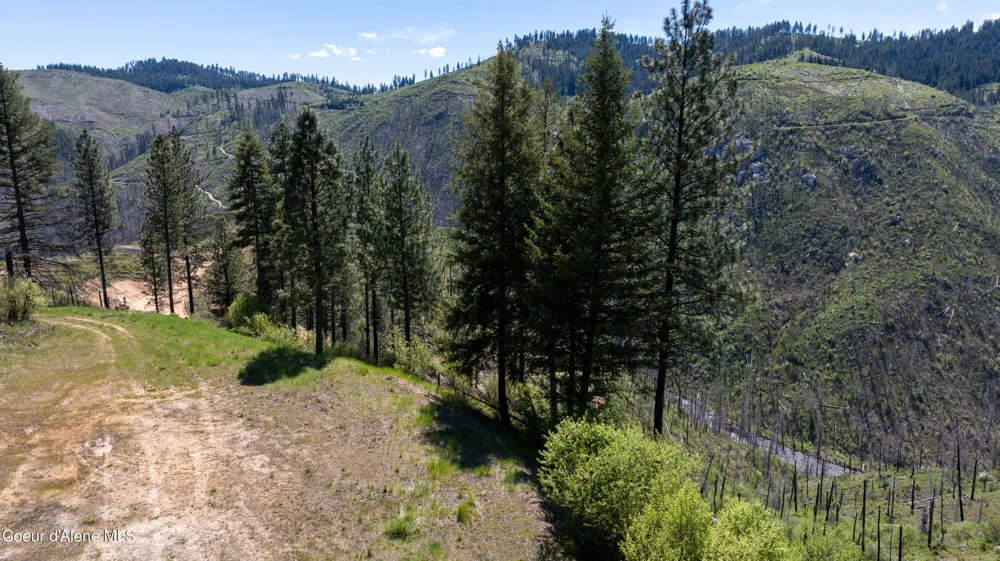 2912 Lolo Creek Road Weippe, ID 83553