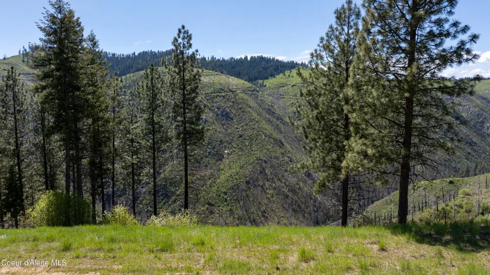 2912 Lolo Creek Road Weippe, ID 83553