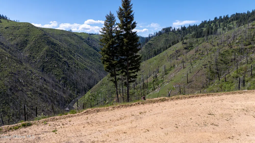 2912 Lolo Creek Road Weippe, ID 83553