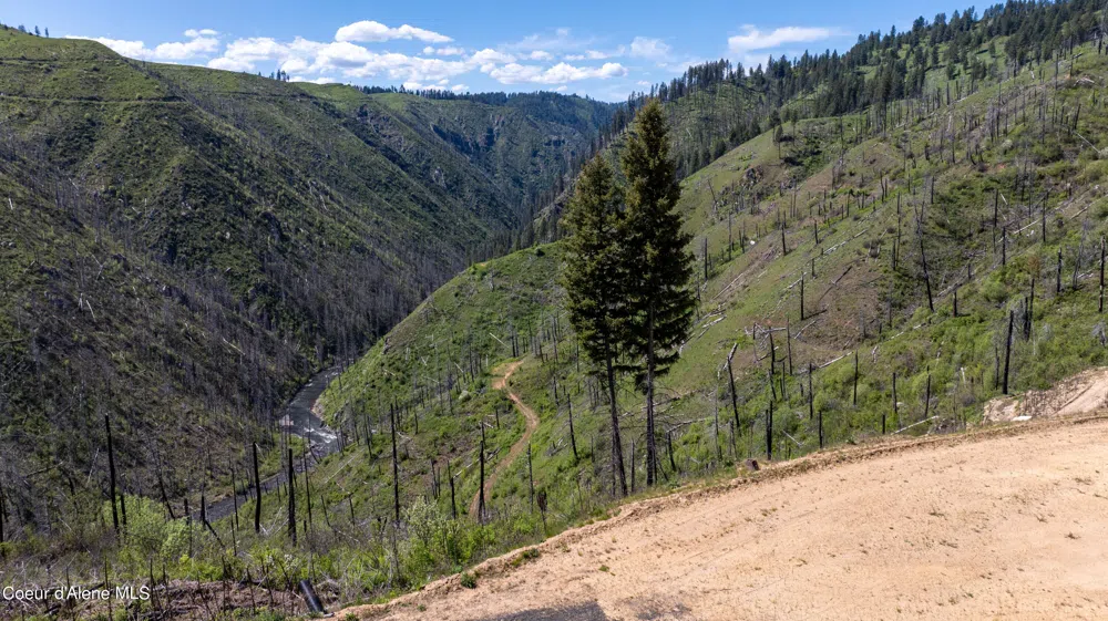 2912 Lolo Creek Road Weippe, ID 83553