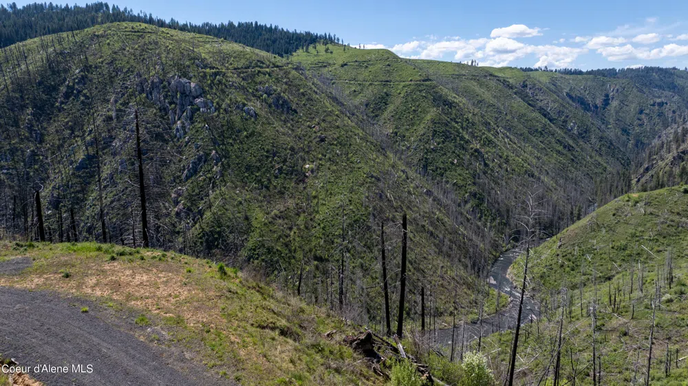 2912 Lolo Creek Road Weippe, ID 83553