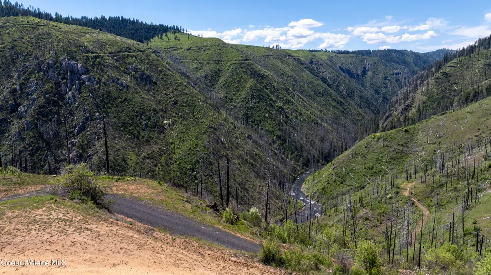 2912 Lolo Creek Road Weippe, ID 83553